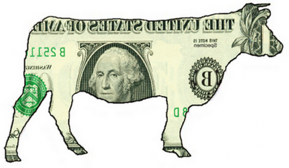 Cash Cow : Découvrez ce guide sur les entreprises qui profitent de la fraude au remboursement d'impôt.