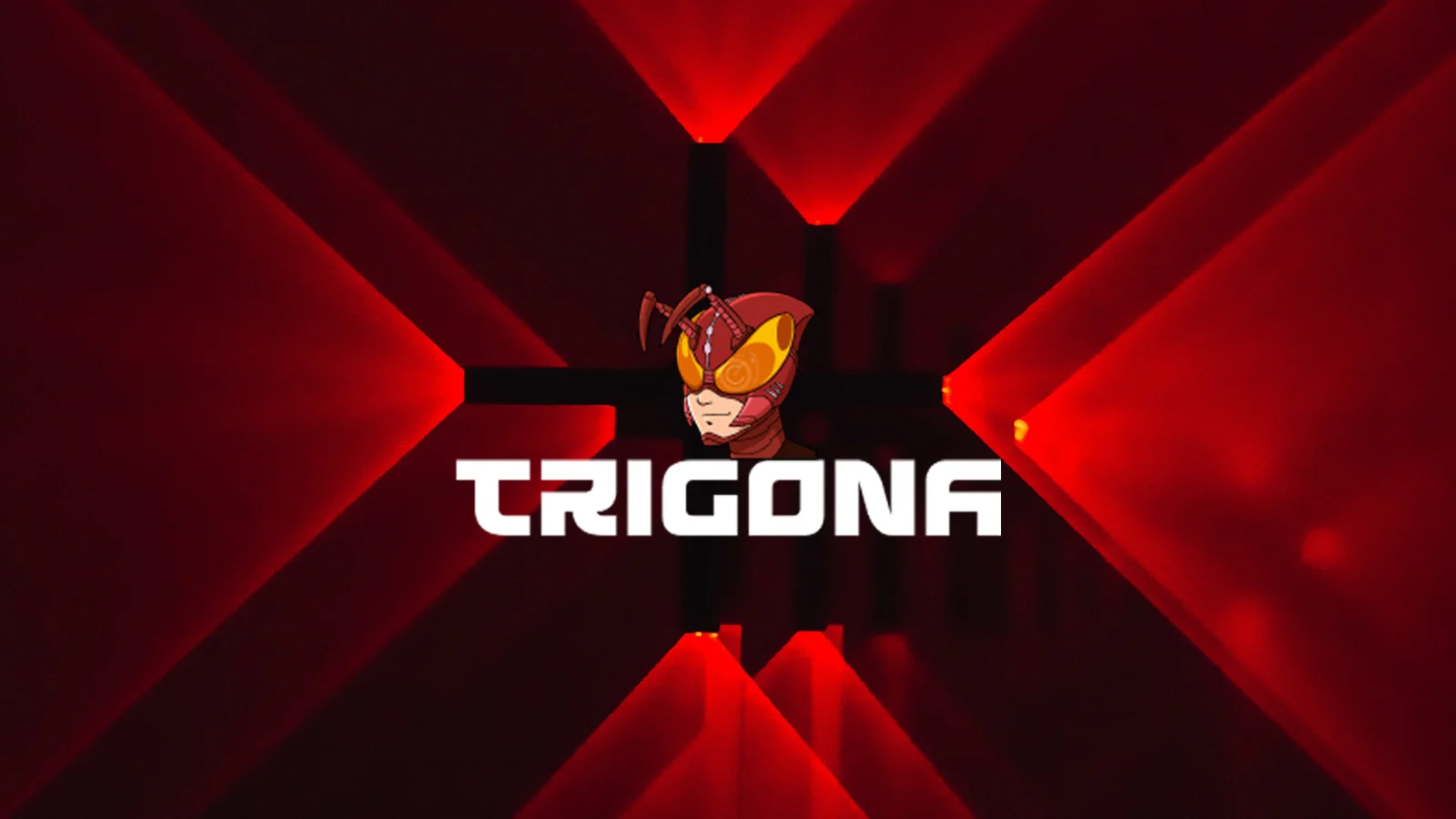 trigona-header