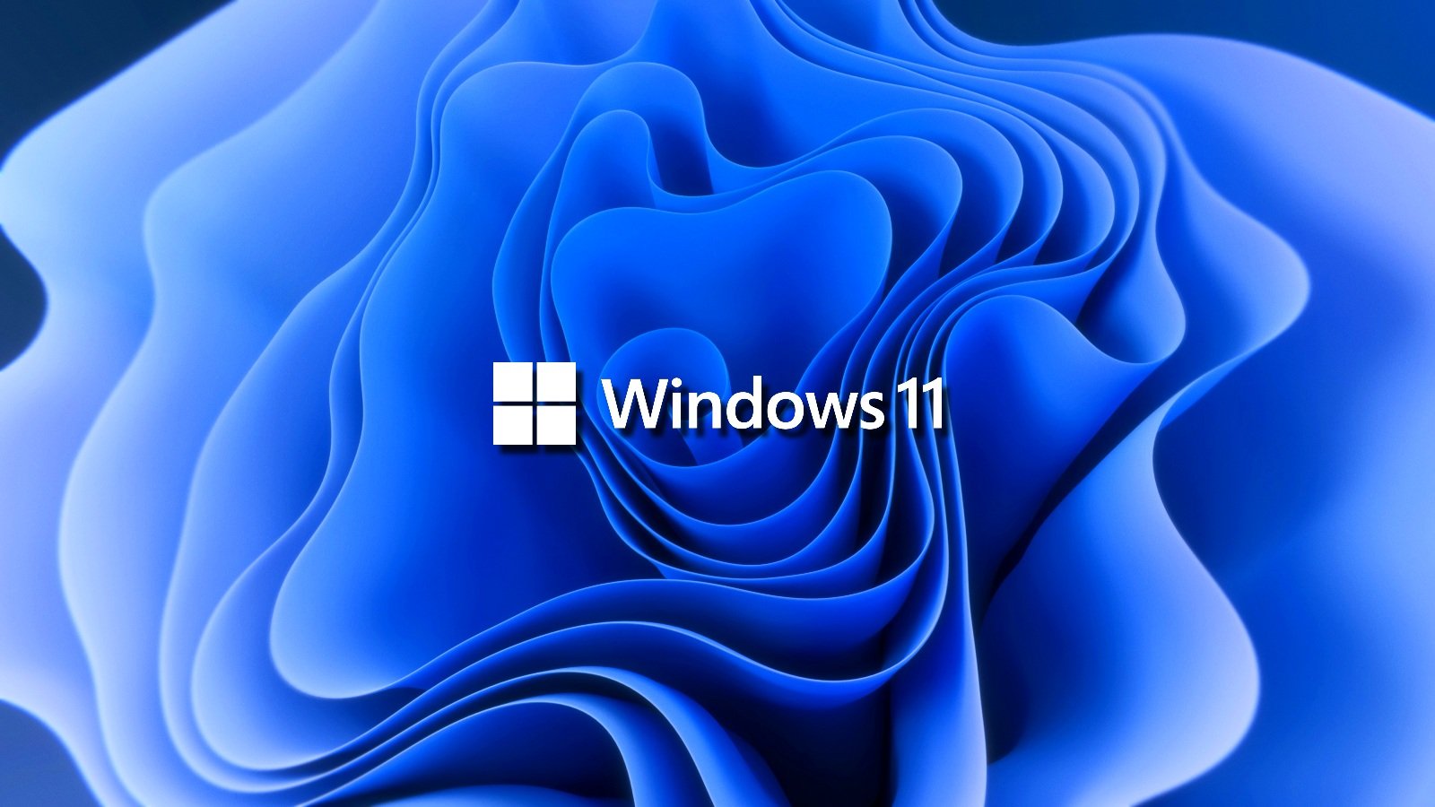 Windows_11-1
